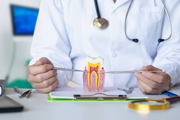 Best Cosmetic Emergency Dentistry in Culpeper, VA